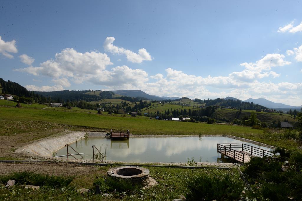 Pensiunea La Bella Vista Пояна Негри Экстерьер фото